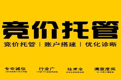 百度SEM广告策略在电商行业的成功案例